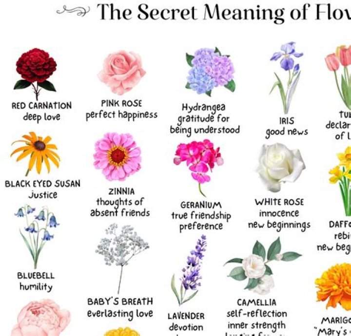 What flowers mean good job?