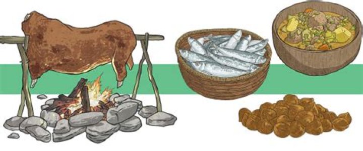 What food did the Paleolithic Age eat?