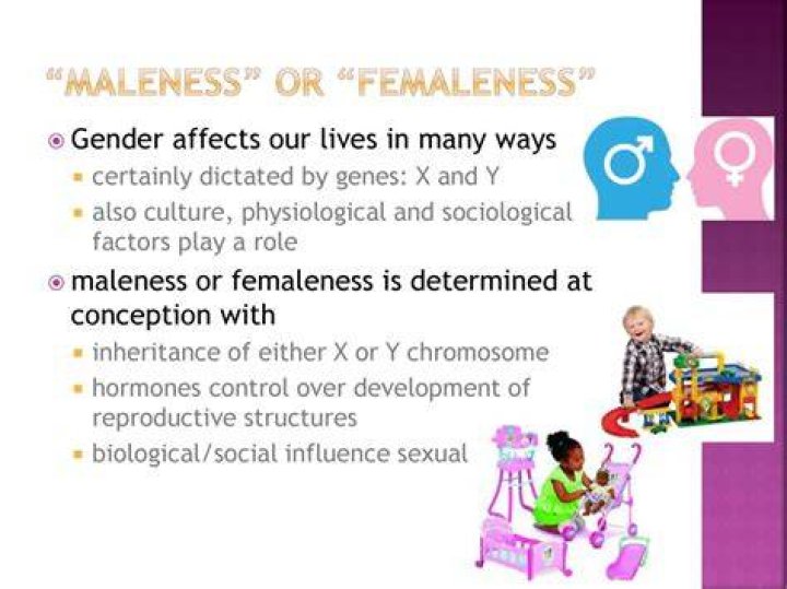 What for you defines maleness and femaleness?