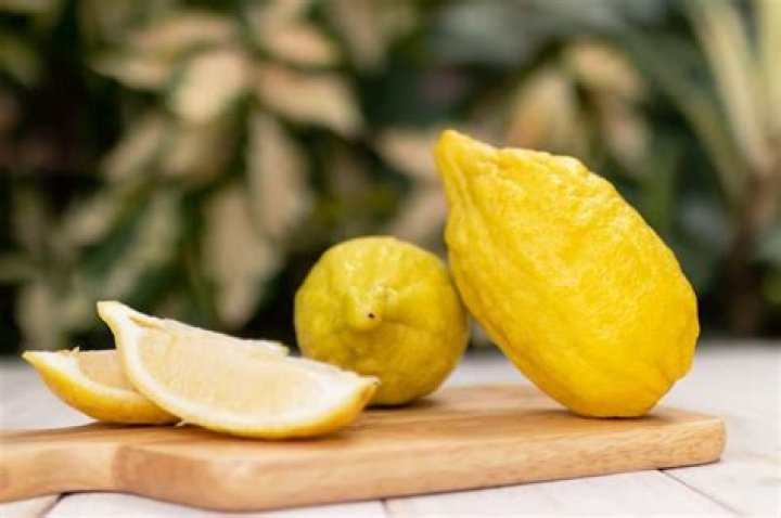 What fruit is a Citron?