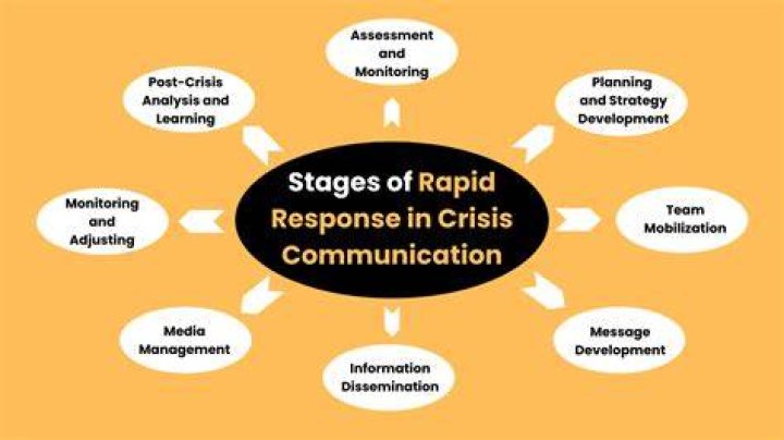 What happens during a rapid response?
