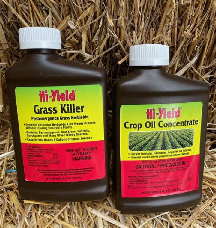 What herbicide kills corn?