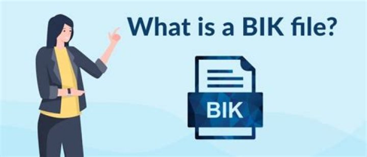 What is a bik file?