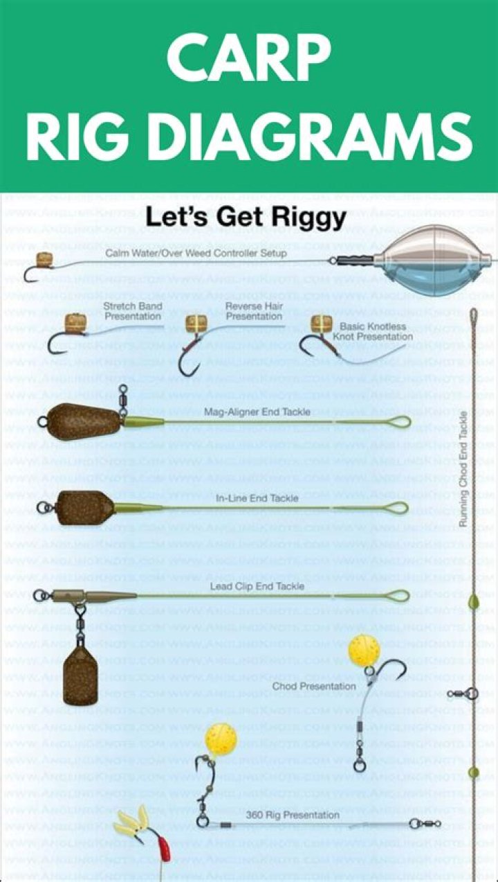 What is a carp rig?