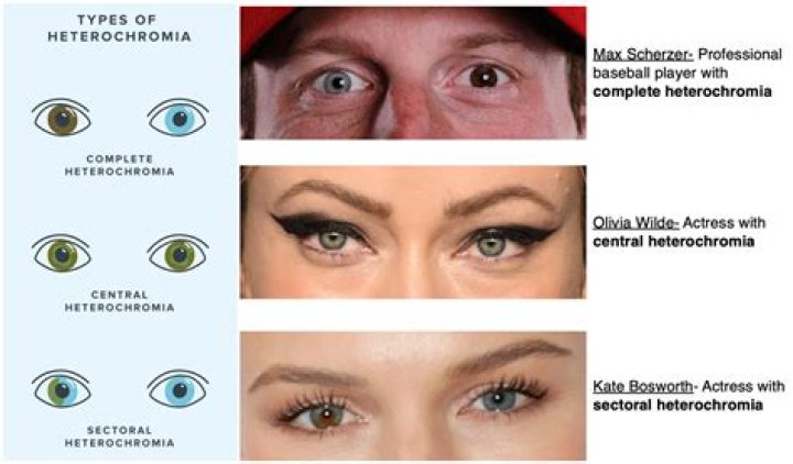 What is a chimerism test?