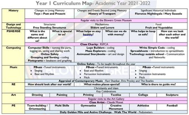 What is a curriculum statement?