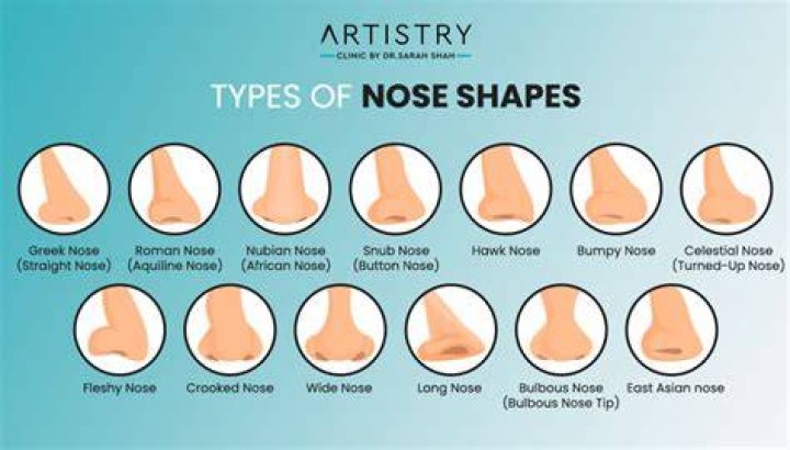 What is a flat nose bus?