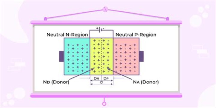 What is a quasi neutral region?