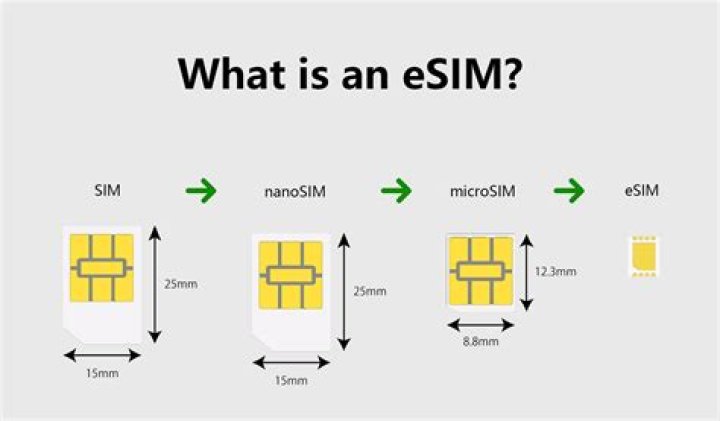 What is a SIM person?