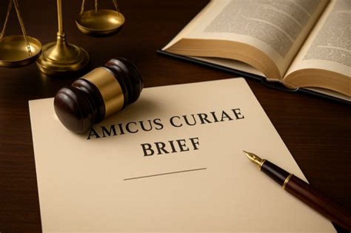 What is an amicus brief in law?