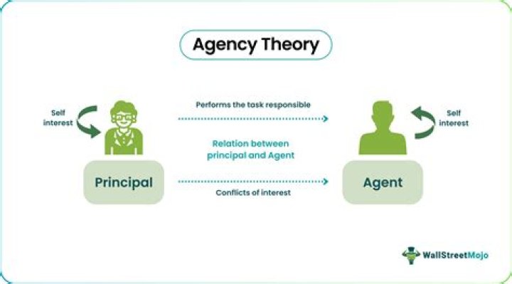 What is an example of a principal agent problem?