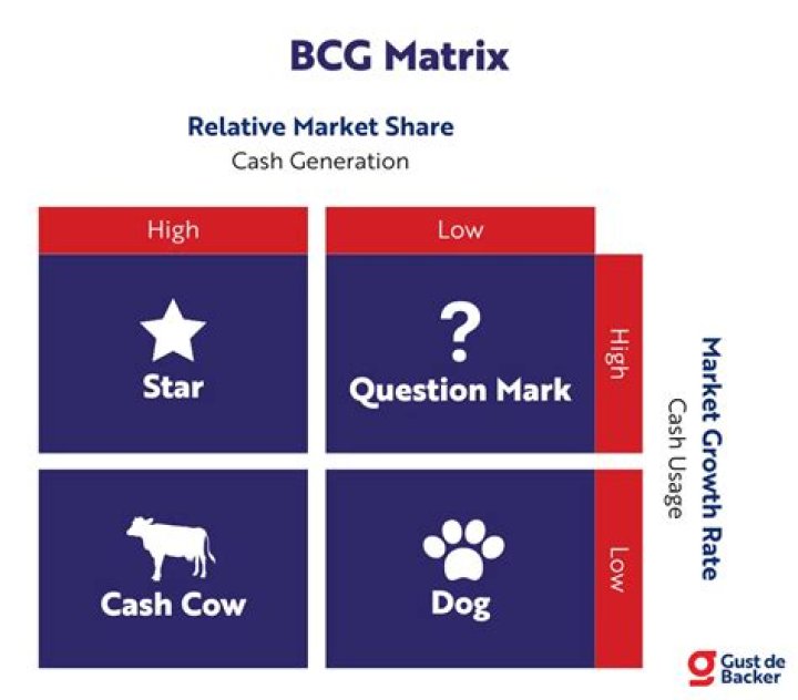 What is an example of a star in the BCG matrix?