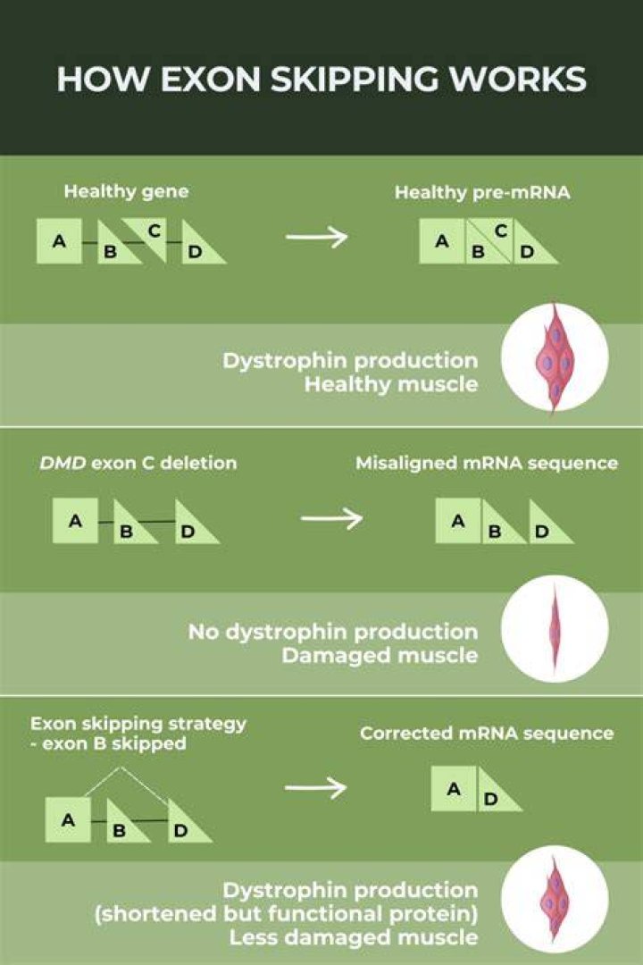 What is an exon skipping drug?