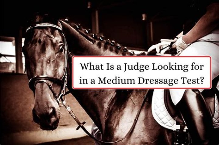 What is an L dressage judge?