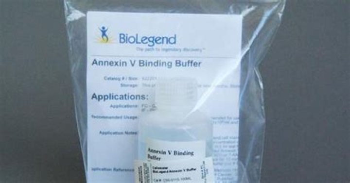 What is annexin V Binding Buffer?