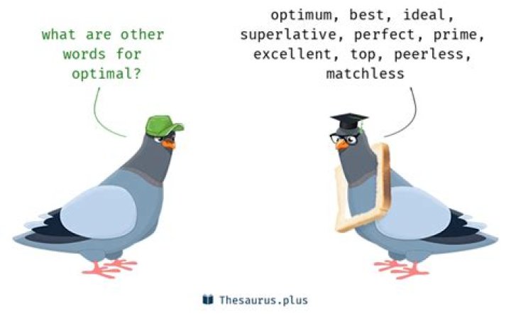 What is another word for optimal?