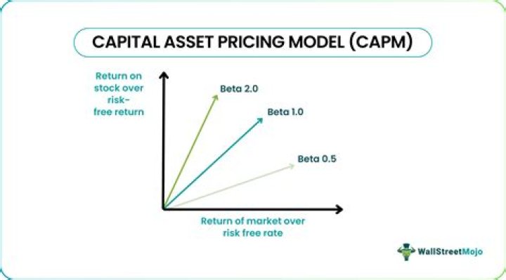 What is CAPM and APT?