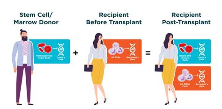 What is chimerism post transplant?