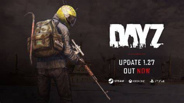 What is DayZ latest update?
