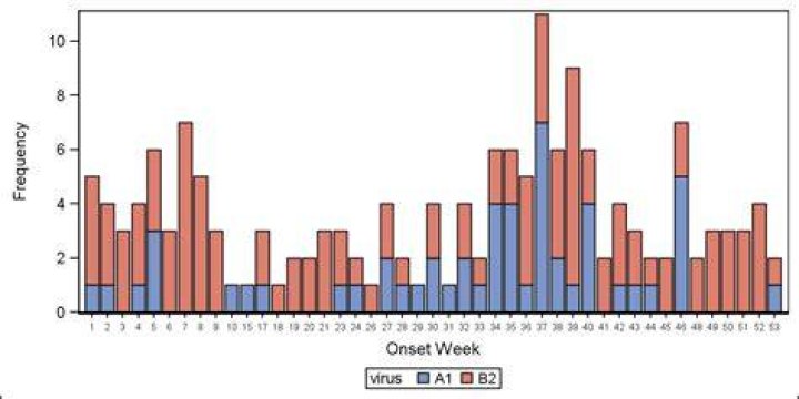 What is frequency SAS?
