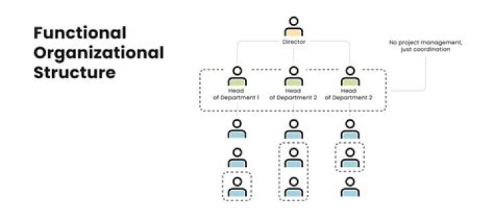 What is functional Organisation structure?