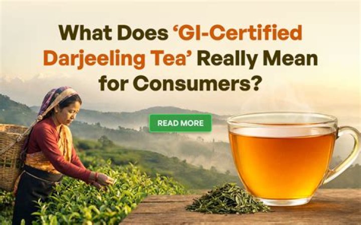 What is GI certified?