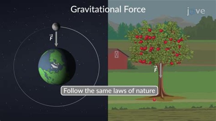 What is gravity detection?