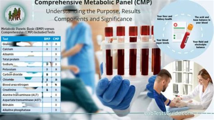What is included in a comprehensive metabolic panel blood test?