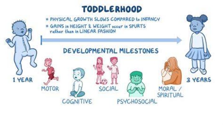 What is infancy and toddlerhood?
