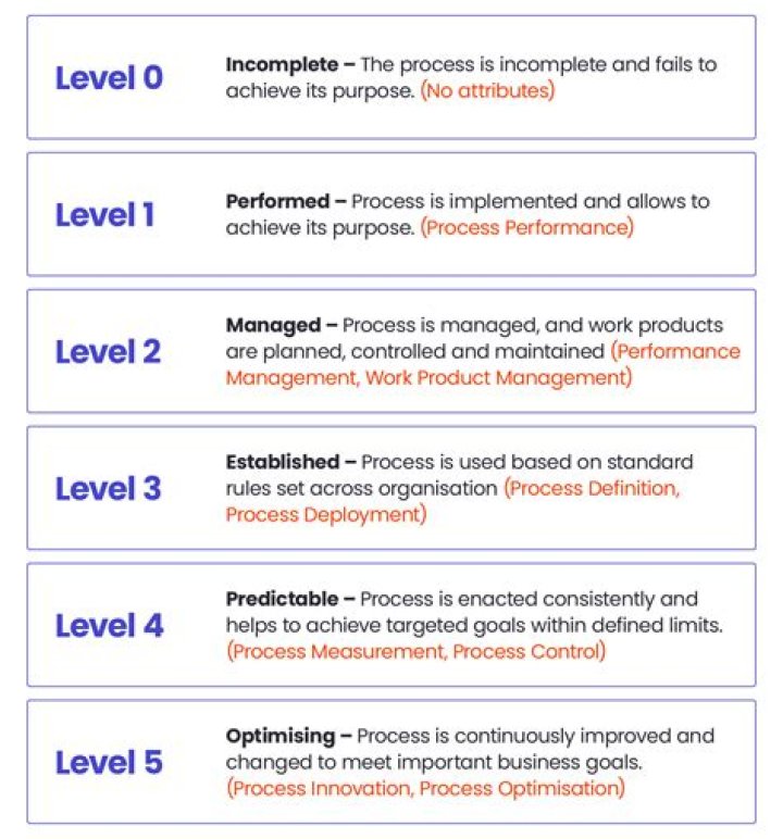 What is level3 management?