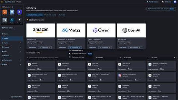What is meant by custom search?