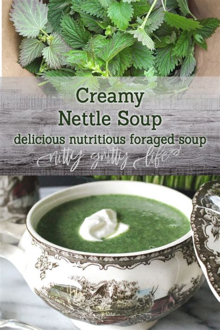 What is nettle soup good for?