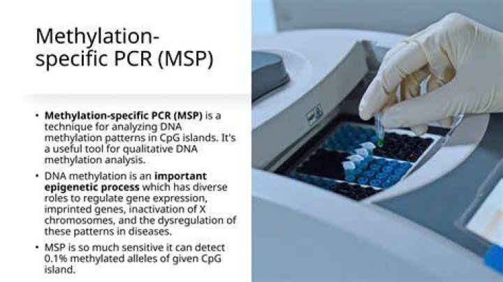 What is Quantitative Methylation-Specific PCR?