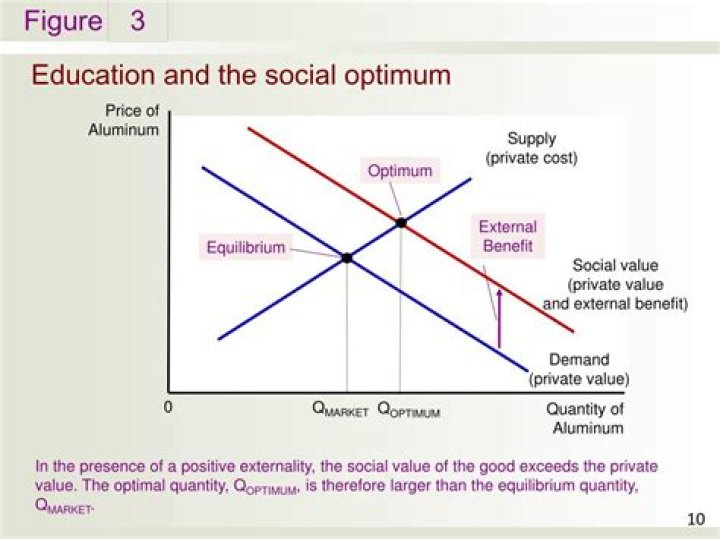 What is social optimal quantity?