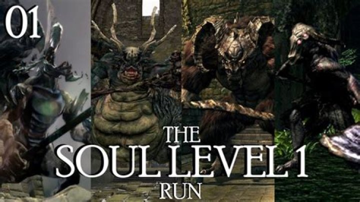 What is soul level 1 run?