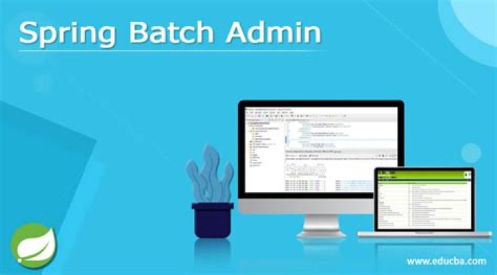 What is Spring Batch Admin Manager?
