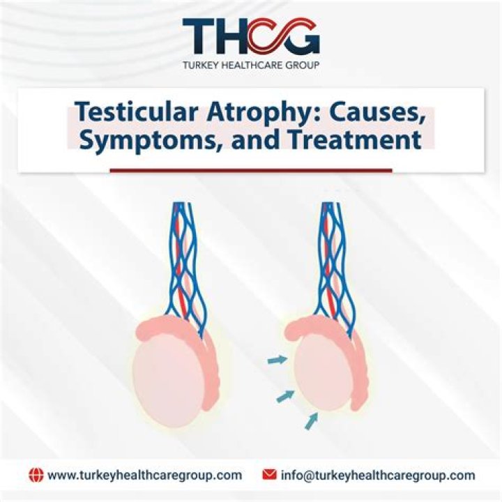 What is testicular atrophy caused by?