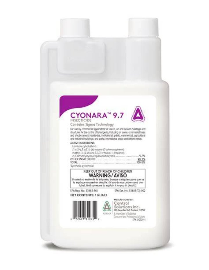 What is the active ingredient in Cyonara?