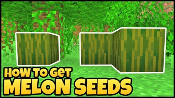 What is the benefit of melon seed?