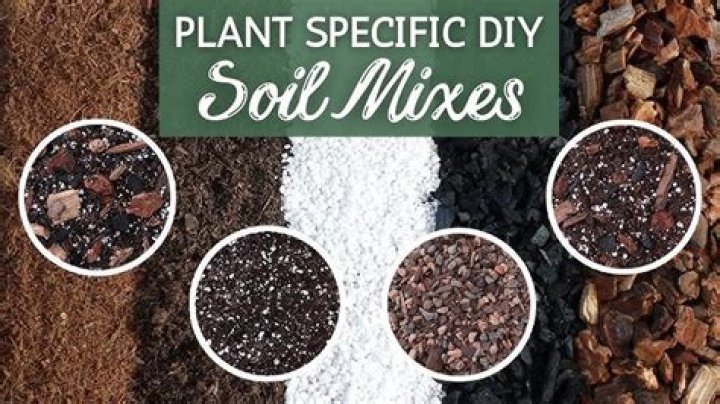 What is the best mixture for garden soil?