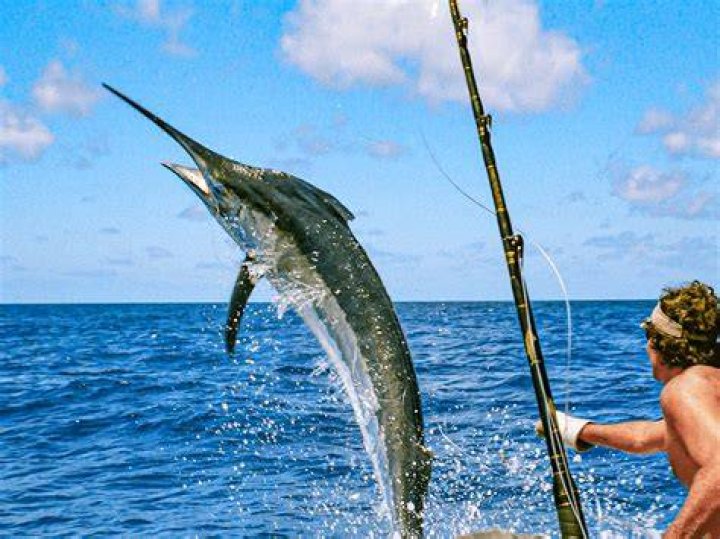 What is the best time to go deep sea fishing?