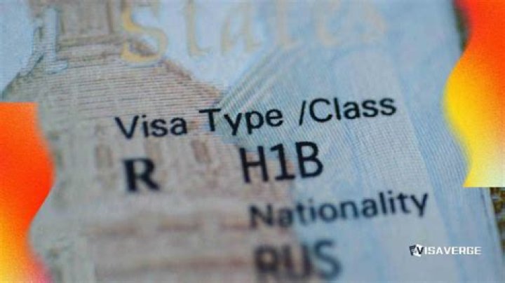 What is the consulting fee for H1B visa?