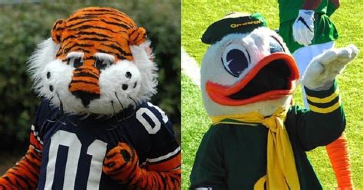 What is the coolest college mascot?