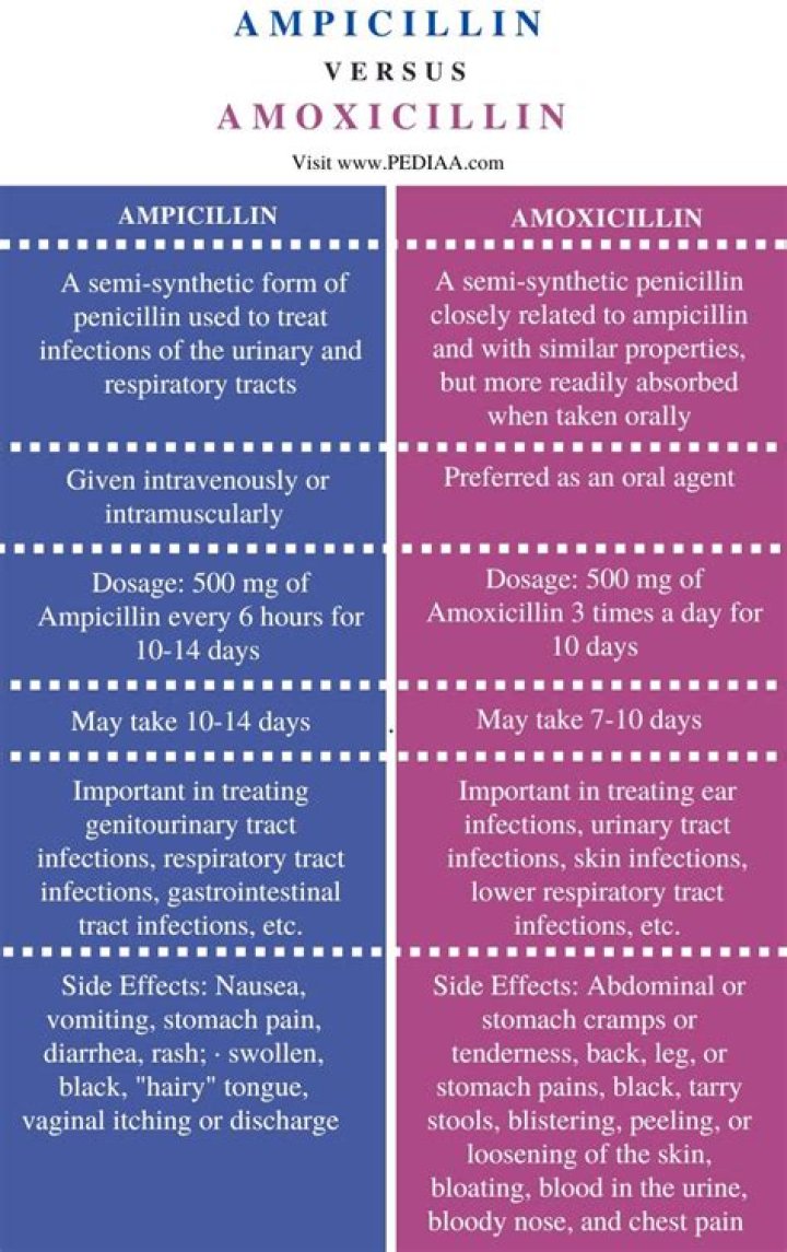 What is the difference between ampicillin and amoxicillin?