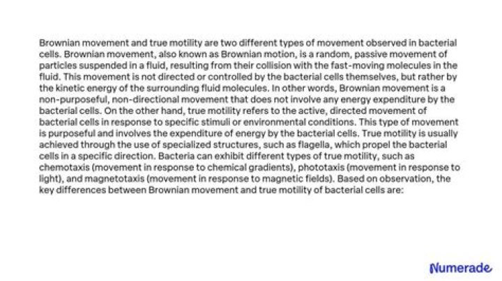 What is the difference between motility and Brownian movement?