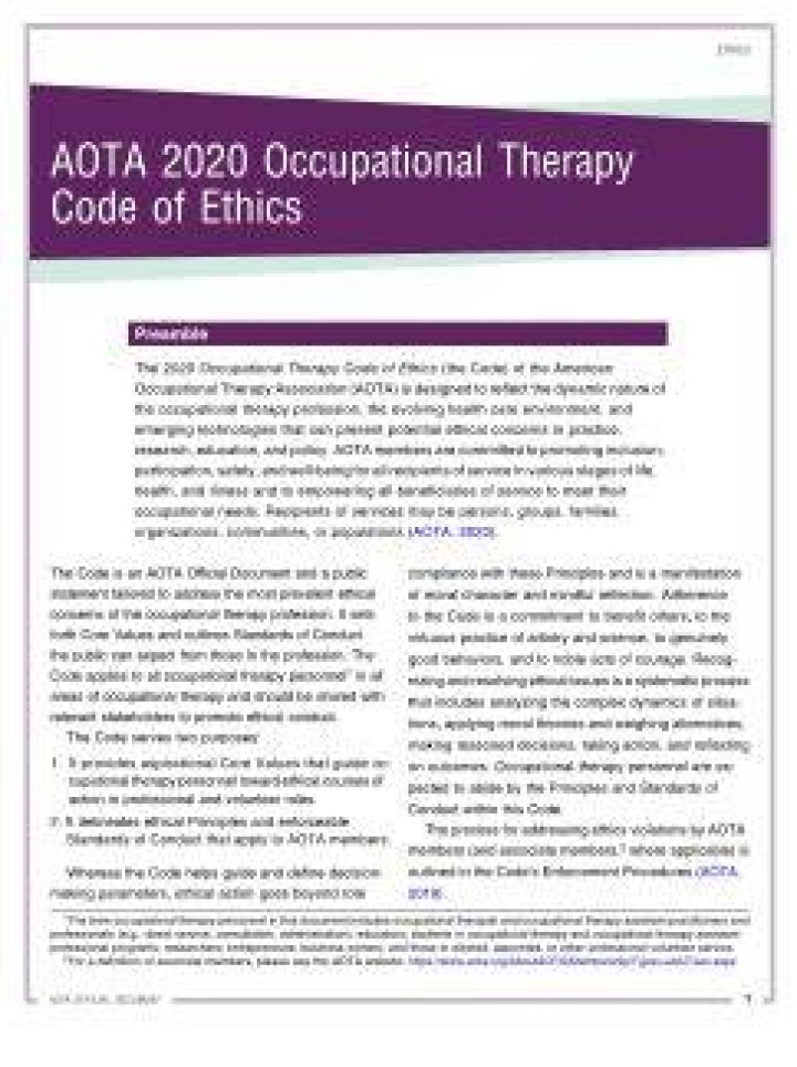 What is the first principle of the Aota code of ethics?