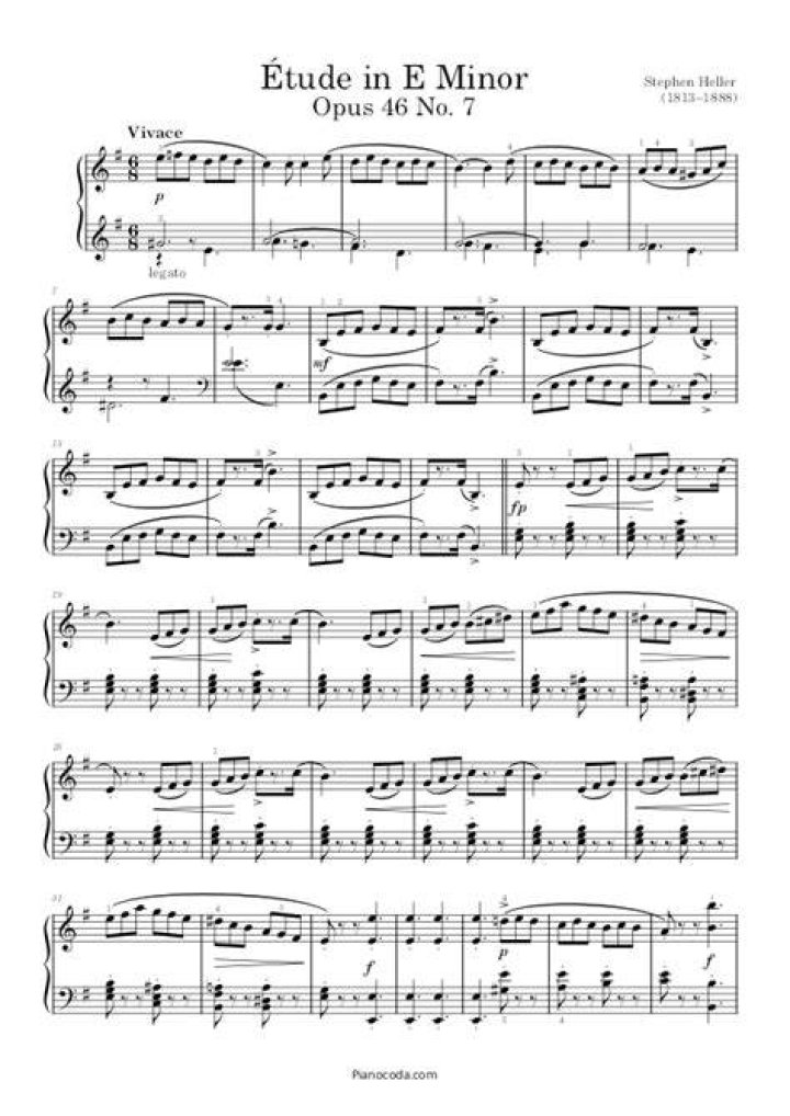 What is the genre of etude?