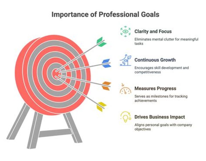 What is the goal of professional organizations?
