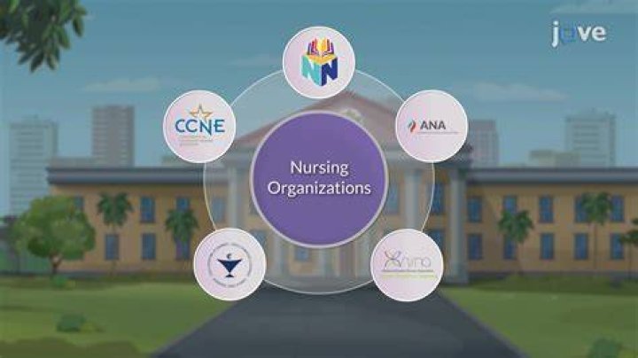 What is the main professional organization that represents nursing?