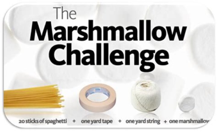What is the marshmallow challenge TED talk?
